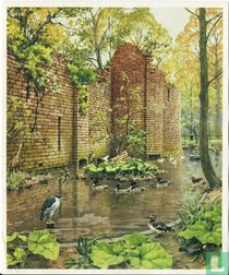 Aan de slotgracht der Uilen-Ruïne