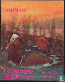 Oiseaux    
