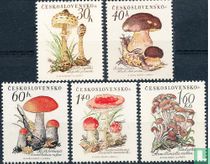 Champignons