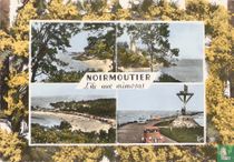 Noirmoutier, L'ile aux mimosas