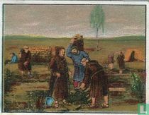 Het eerste turfsteken in ons land.