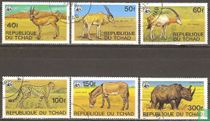 Animals at risk