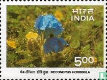 Fauna and flora of the Himalaya