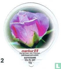 Blumen 