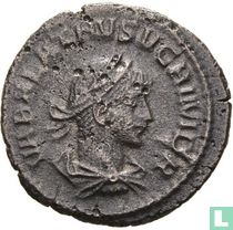 Vabalathus 271-72, avec Aurélien, AE Antoninianus Antioche