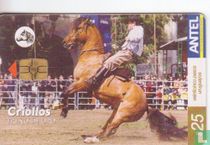 Criollos Freno de Oro