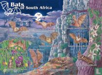 Chauves-souris de l'Afrique du Sud