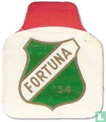 Fortuna '54, Geleen, semi-prof