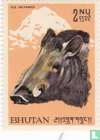 Einheimische Tiere