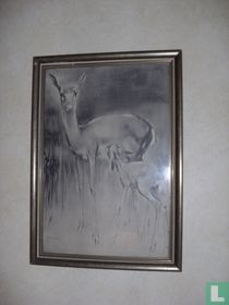 cerf avec young