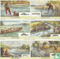 066 - Zoetwatervisvangst kopen