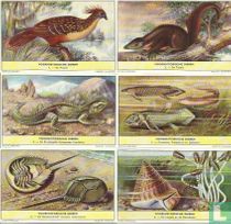 087 - Voorhistorische dieren
