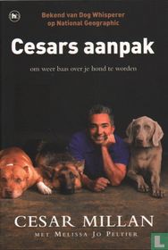 Cesars aanpak