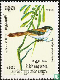 Oiseaux