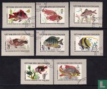 Poissons tropicaux
