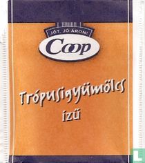 Trópusigyümölcs