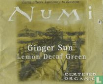 Ginger Sun 