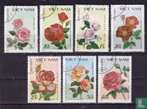 Roses acheter