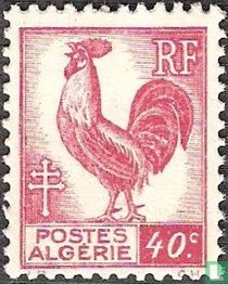 Rooster