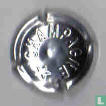 Capsule De Champagne Lettres Et Étoile Embouties Grise