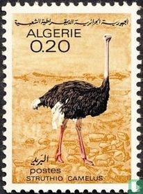 Animaux du Sahara