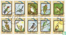 Oiseaux acheter