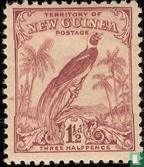Oiseau de paradis