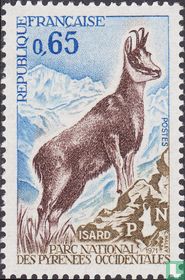 Isard