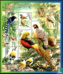 Oiseaux 