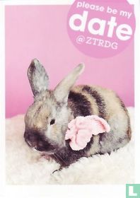 ZTRDG100026 - pleas be my date @ ztrdg