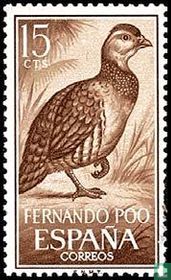 Oiseaux