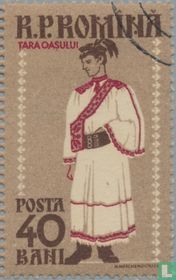 Male costume from Maramures