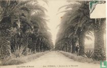 HYÉRES - Avenue de la Blocarde