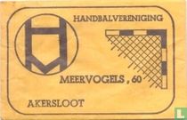 Handbalvereniging Meervogels 60