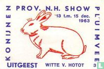 konijn: Witte v. Hotot