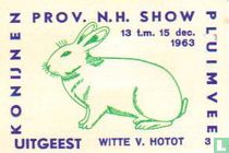 konijn: Witte v. Hotot