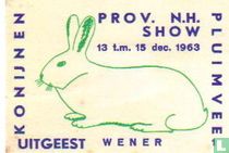 konijn: Wener