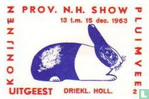 konijn: Driekleurige Hollander