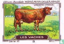 Limousine (France)