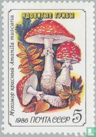 Poisonous mushrooms