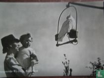 Diergaarde Blijdorp   