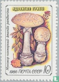 Poisonous mushrooms