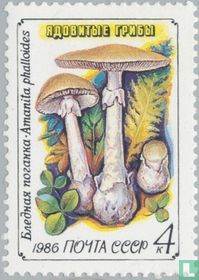Poisonous mushrooms