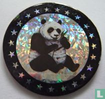 Großer Panda
