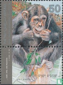 Animals in the zoo