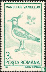 Birds for sale