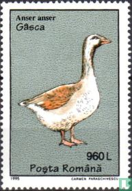 Poultry