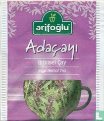 Adaçayi