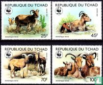 WWF - Manenschaap