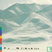 Voices from the distant steppe